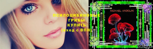 PSILOCYBIN Алзамай