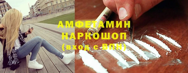 PSILOCYBIN Алзамай