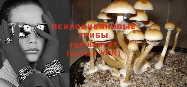 соль курить ск Краснослободск