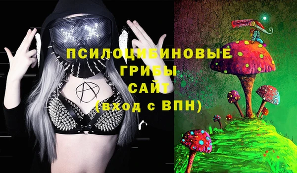 PSILOCYBIN Алзамай