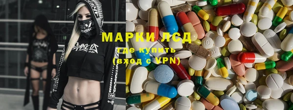 PSILOCYBIN Алзамай