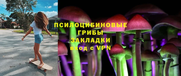 PSILOCYBIN Алзамай