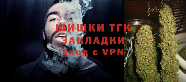 PSILOCYBIN Алзамай