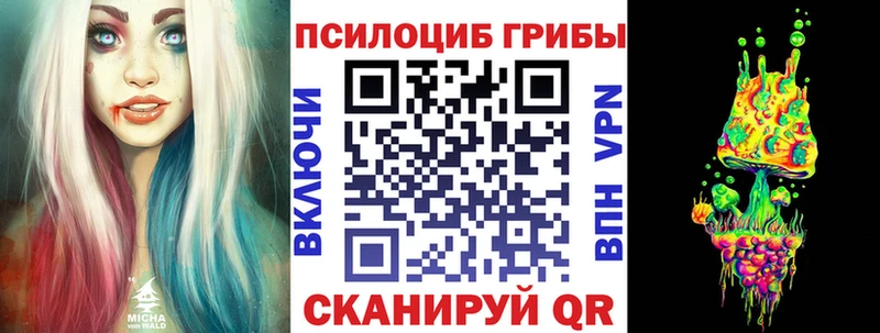 Псилоцибиновые грибы Cubensis купить блэк спрут ссылка Арск